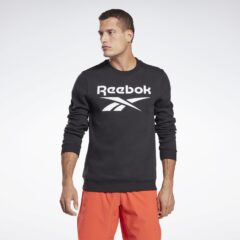 Reebok Sport Reebok Sport Identity Fleece Crew Ανδρική Μπλούζα (9000083609_1480)