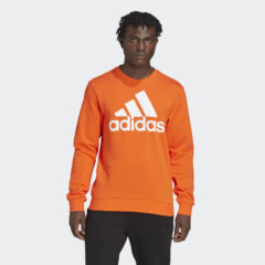 adidas adidas Essentials Big Logo Sweatshirt (9000128336_63910)
