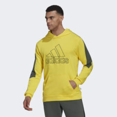 adidas adidas Future Icons Embroidered Badge Of Sport Hoodie (9000122151_2005)