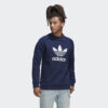 adidas Originals adidas Originals Trefoil Crew (9000113198_20972)