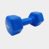 LIGASPORT LIGASPORT Αλτηρας Βινυλιου 5Kg (9000082339_003)
