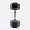 LIGASPORT ZEUS Dumbbell Αλτήρας 12.5kg (9000066282_1469)